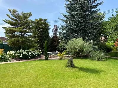 Terrain, 641 m²