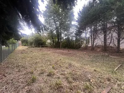 Terrain, 1 203 m²