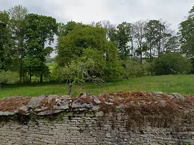 Terrain, 575 m²