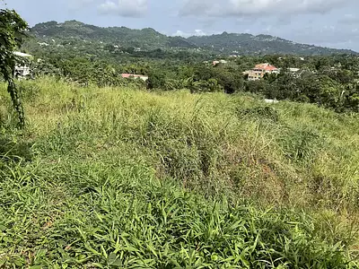 Terrain, 477,99 m²