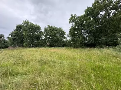 Terrain, 1 233 m²