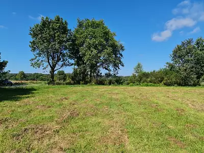 Terrain, 875 m²