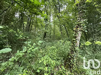 Terrain, 2 677 m²