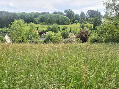 Terrain, 556 m²