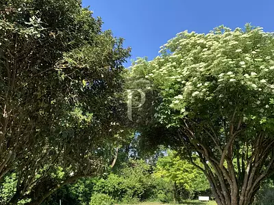 Terrain, 521 m²