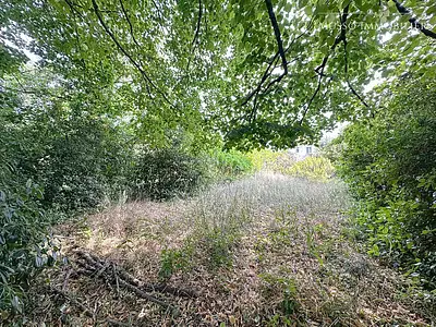 Terrain, 450 m²