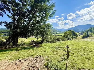 Terrain