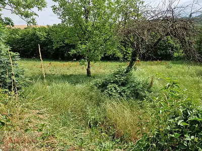 Terrain, 4 700 m²