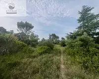 Terrain, 6 091 m²