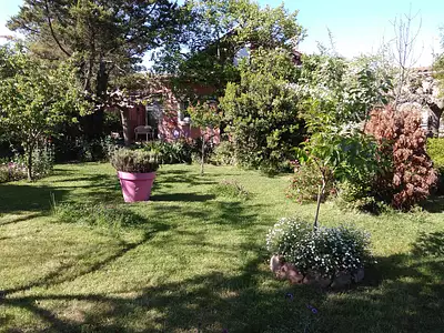 Terrain, 709 m²