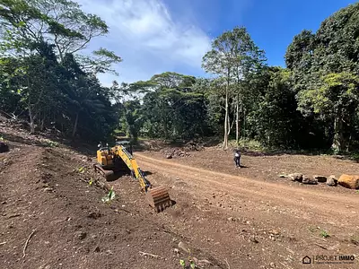 Terrain, 1 136 m²