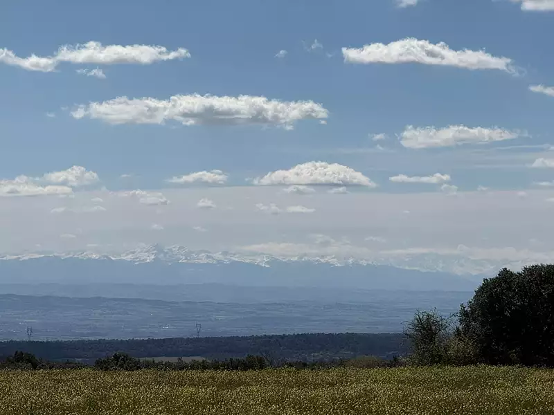 Terrain, 1 146 m²