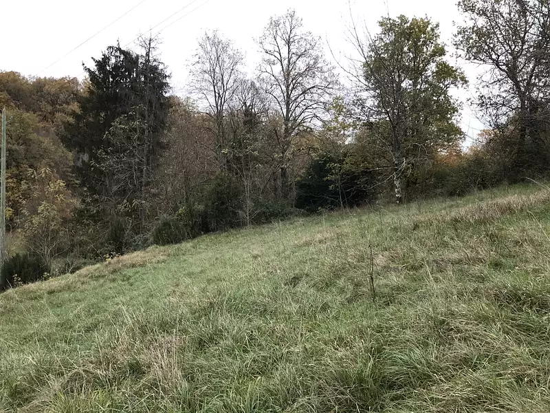 Maison, 125 m²