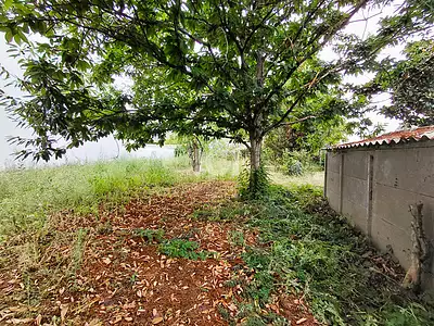 Terrain, 426 m²