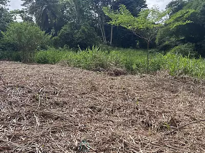 Terrain, 1 089 m²