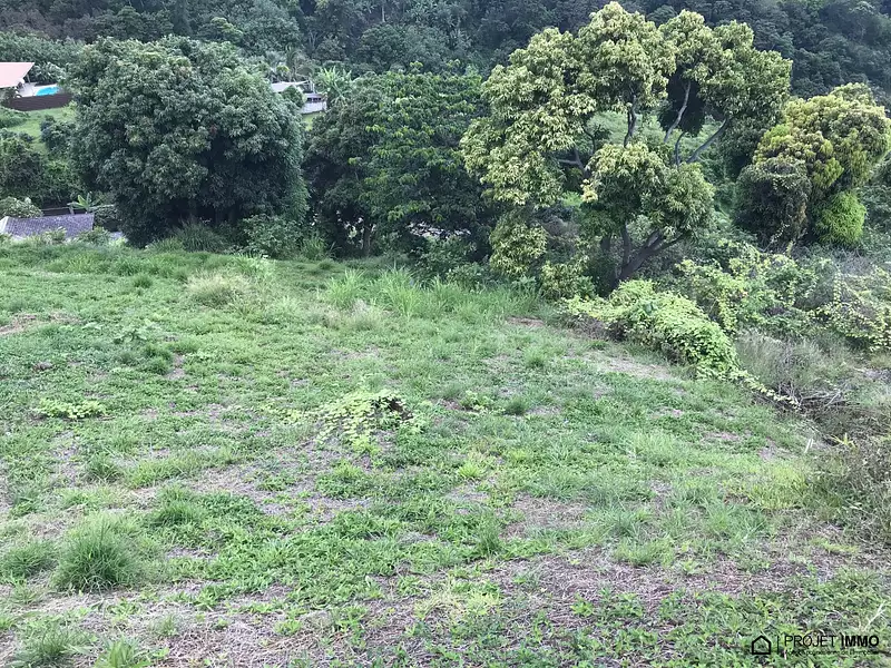 Terrain, 3 074 m²