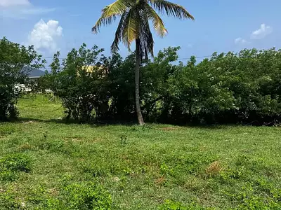 Terrain, 921 m²