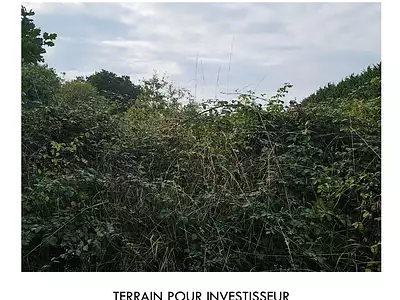 Terrain, 500 m²