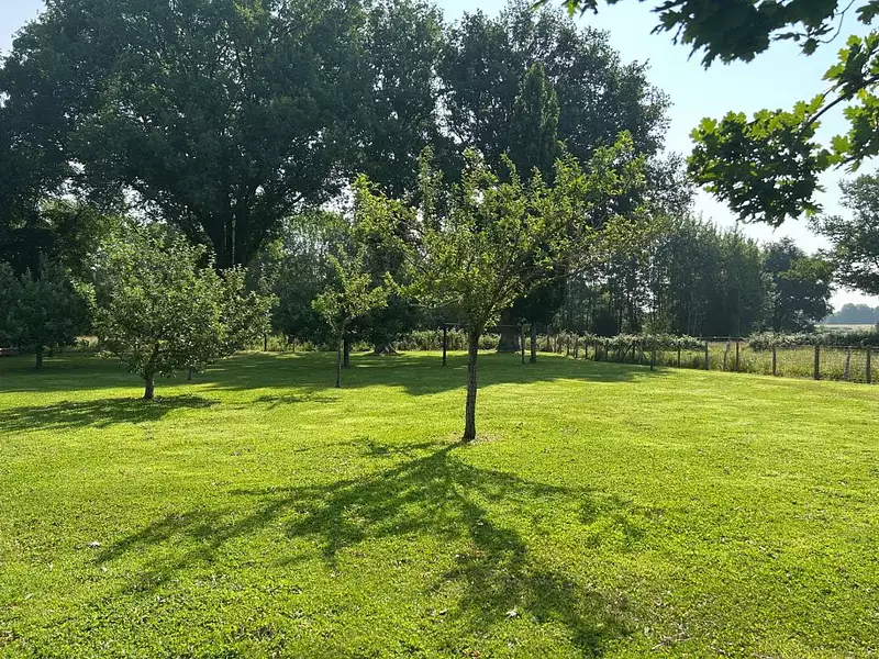Maison, 178 m²