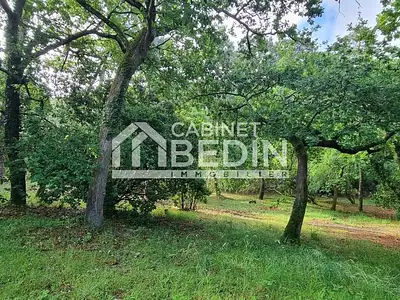Terrain, 1 033 m²