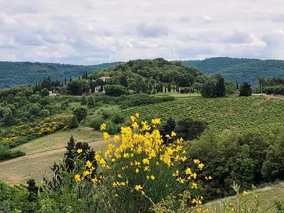 Maison, 212 m²