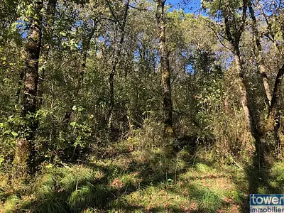 Terrain, 3 110 m²