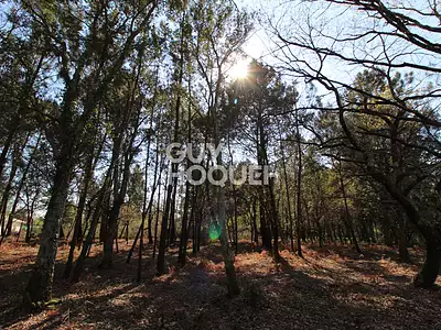 Terrain, 2 352 m²