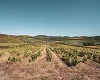 Terrain, 148 075 m²