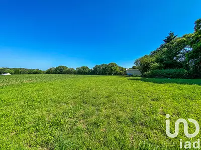Terrain, 650 m²