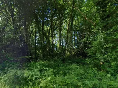 Terrain, 3 887 m²