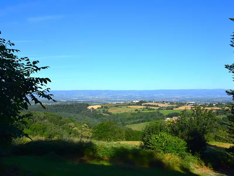Terrain, 1 245 m²