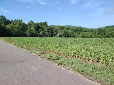 Terrain, 747 m²