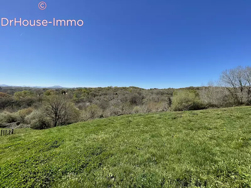 Terrain