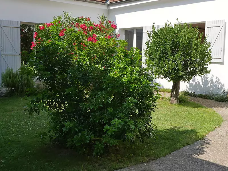 Maison, 153 m²