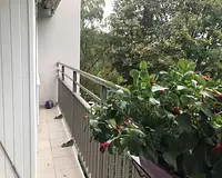 Appartement a louer antony - 2 pièce(s) - 52.71 m2 - Surfyn