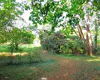 Terrain, 890 m²