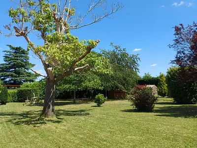 Maison, 74 m²
