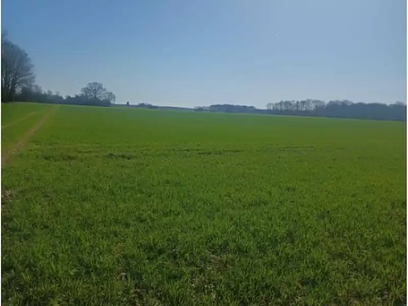 Terrain, 954 490 m²