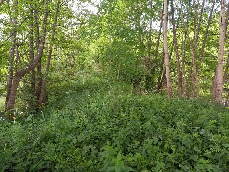 Terrain, 405 m²
