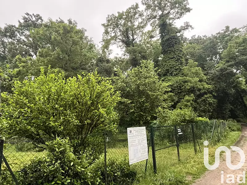 Terrain, 445 m²