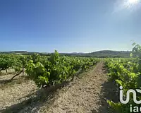 Terrain, 216 211 m²