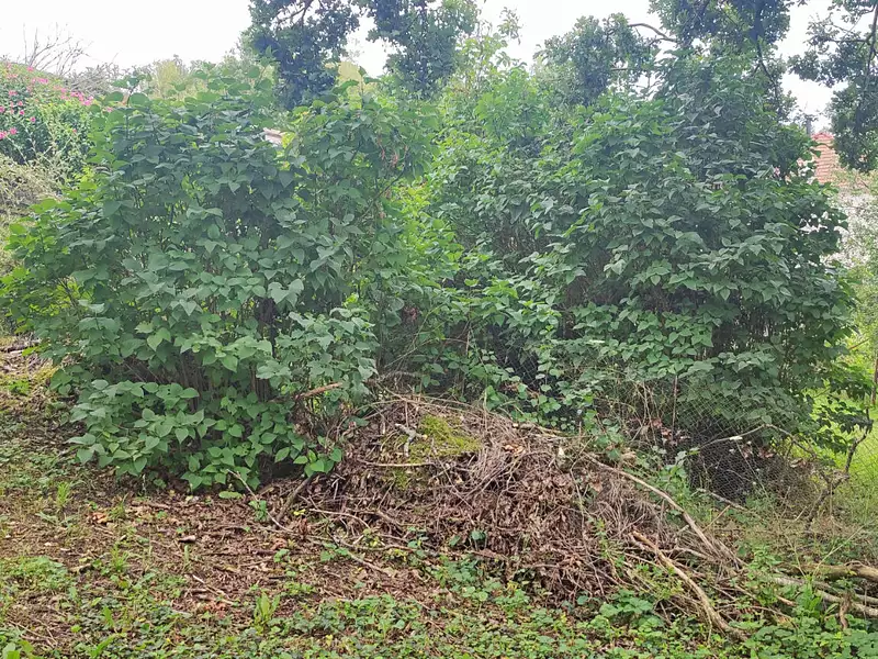 Terrain, 1 050 m²