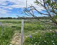 Terrain, 3 984 m²