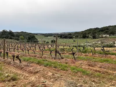 Terrain, 9 590 m²