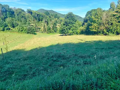 Terrain, 2 938 m²