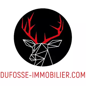 DUFOSSÉ IMMOBILIER