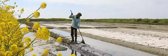 AGENCE SAINT YVES ORPI