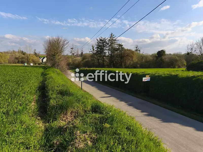 Terrain, 700 m²