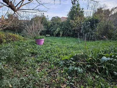 Terrain, 709 m²