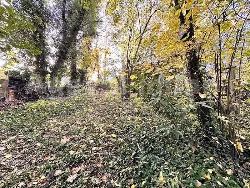 Terrain